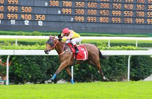 LUEN YAT FOREVER hacia la gloria en la MACAU GOLD CUP